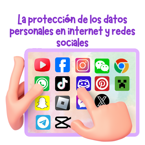 Categoria 1: La protección de los datos personales en internet y redes sociales