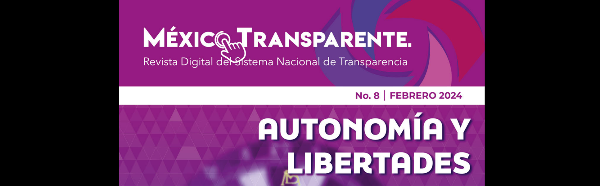 MexicoTransparente8